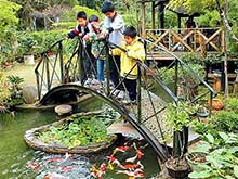 蘋果日報到夢松園採訪